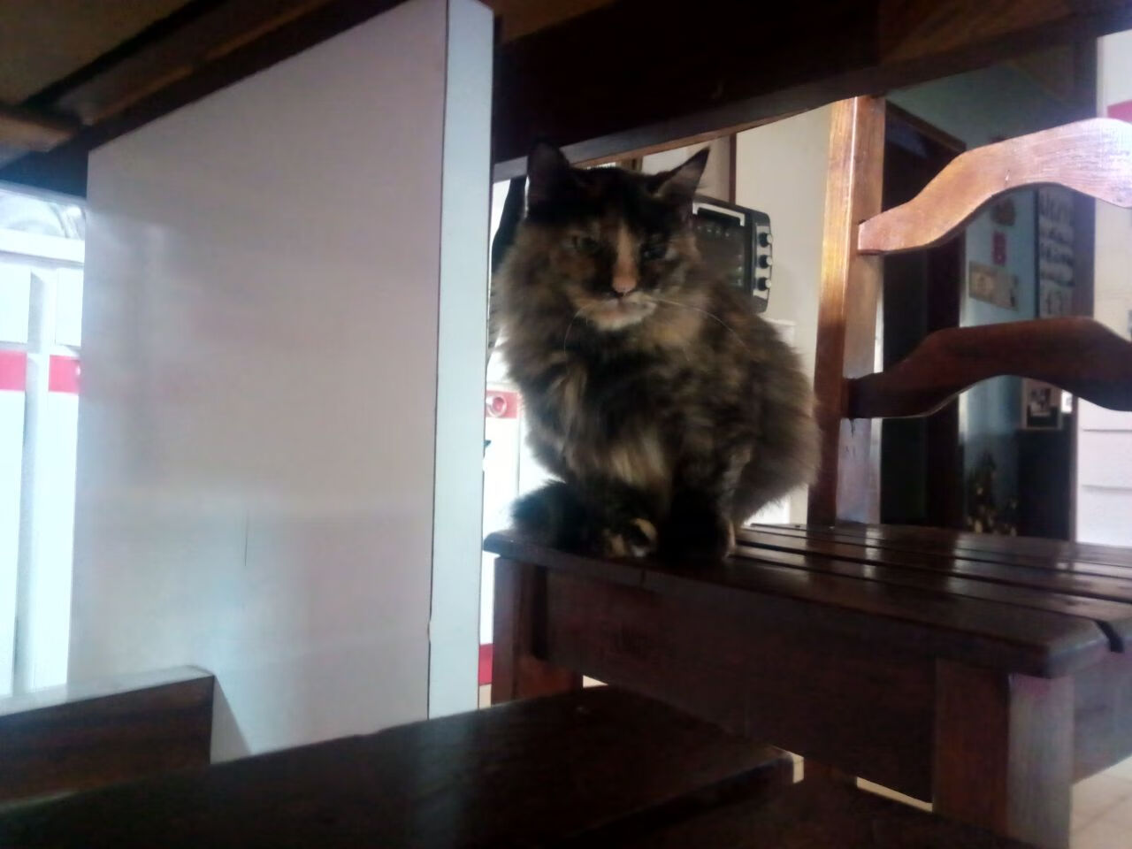 开云入口-VR技术融入青训，虚拟实战场景助成长，带你玩转vr虚拟现实课程介绍