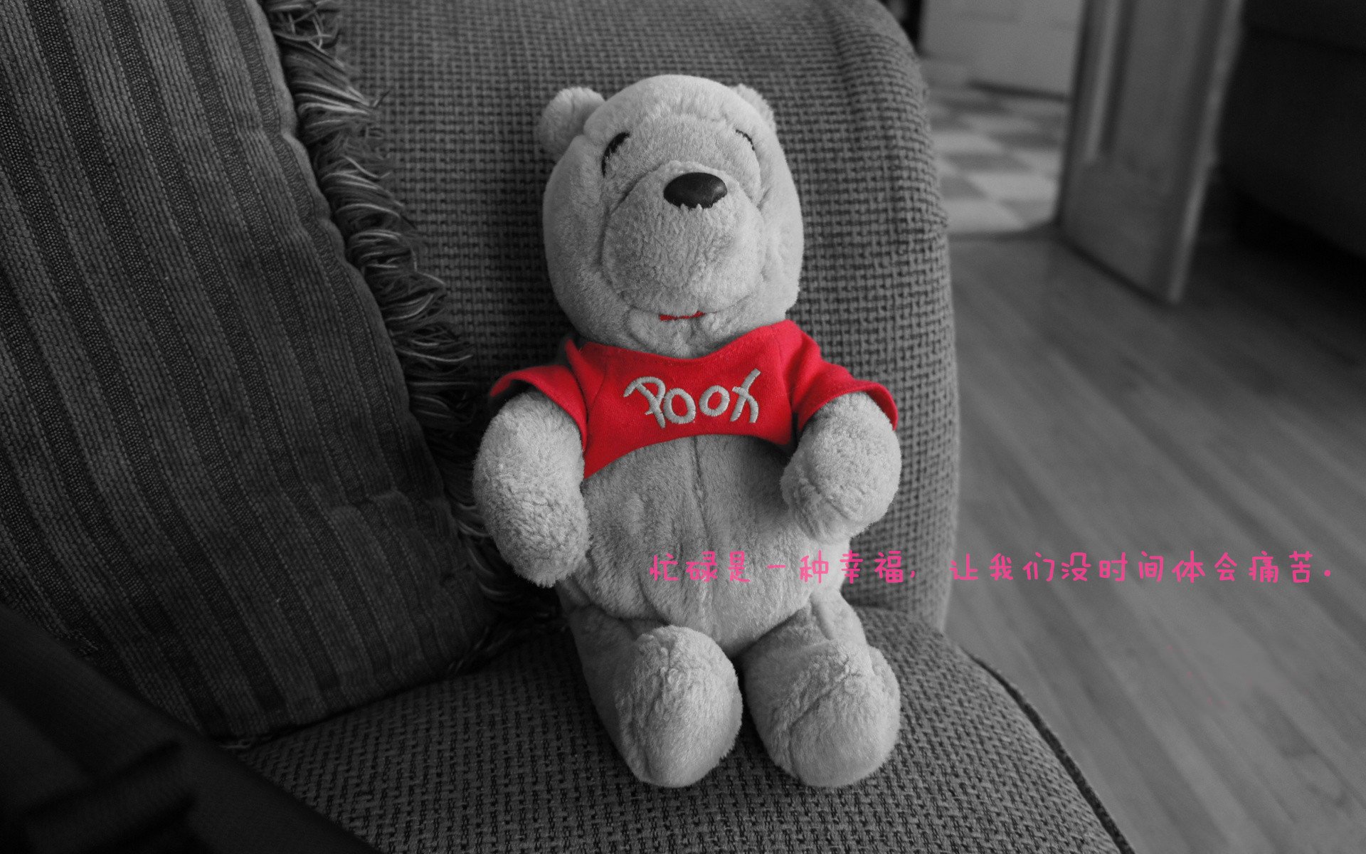 _极限飞行挑战赛:追风逐浪,勇者无惧_,极限飞行电视剧