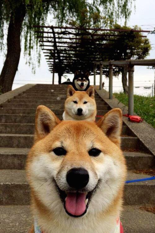 内马尔在美洲杯期间为队友加油,展现团队精神,内马尔拿过美州杯冠军吗