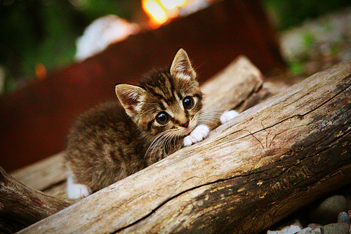 高手过招:联盟中顶尖球员的技艺比拼,球星过人技巧