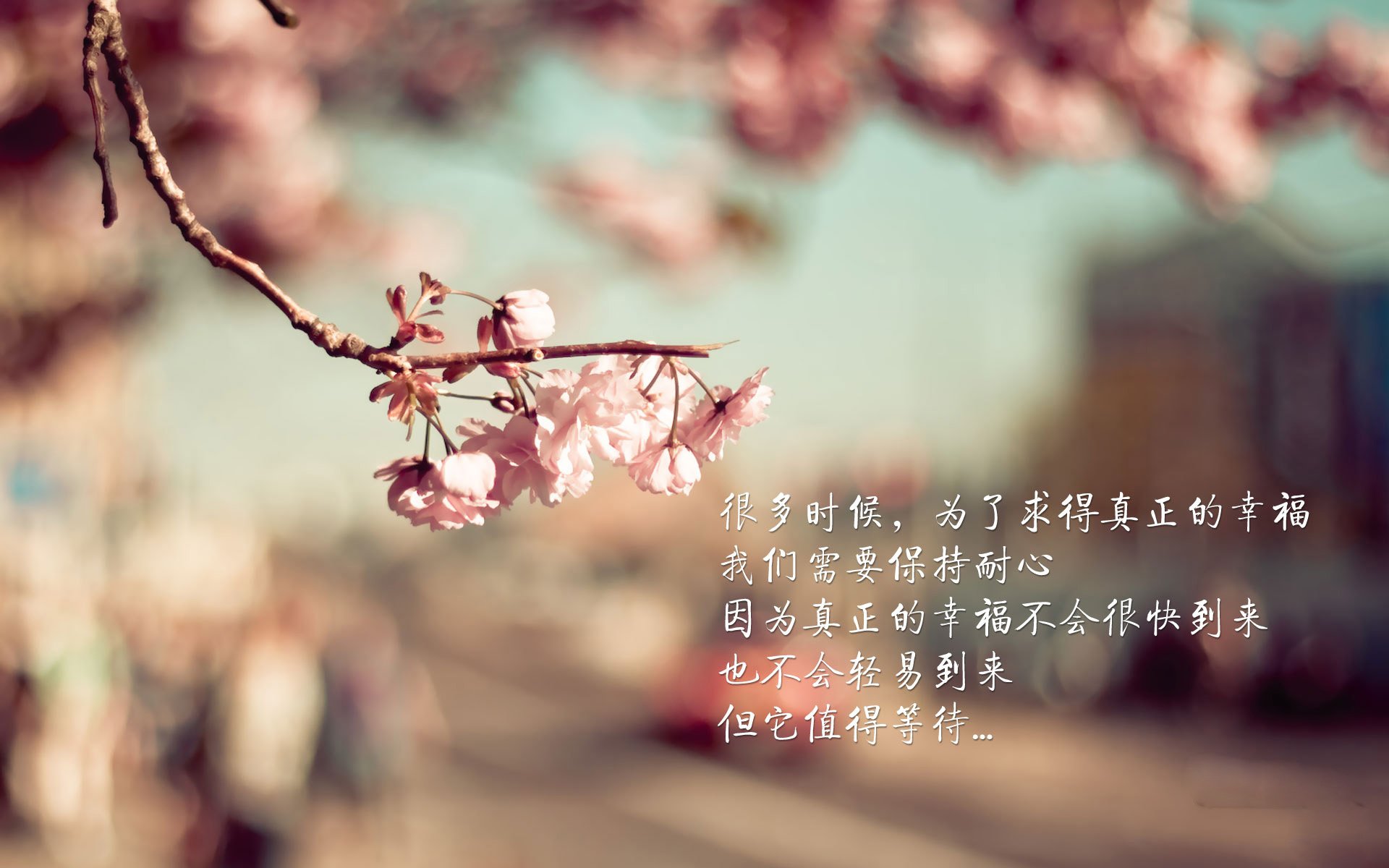 开云平台-KPL赛事合作伙伴公布，kpl合作商