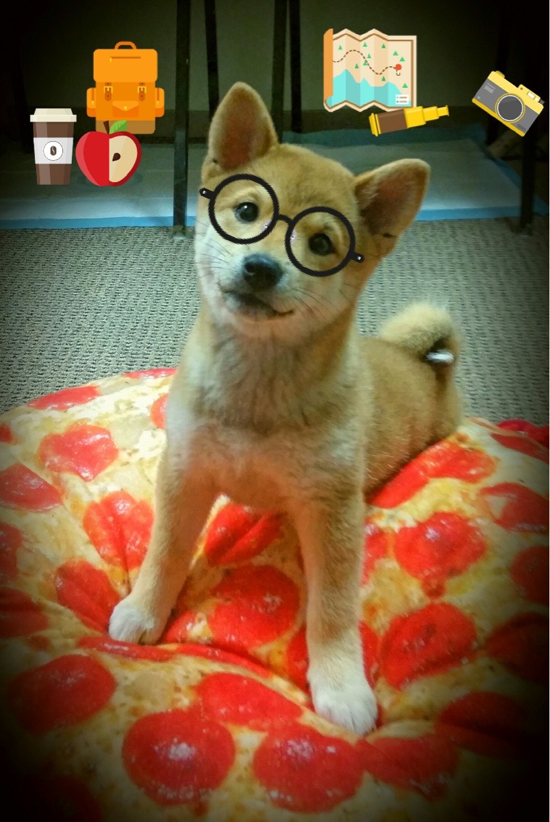 上海上港战平对手,取得不败战绩,上海上港的比赛