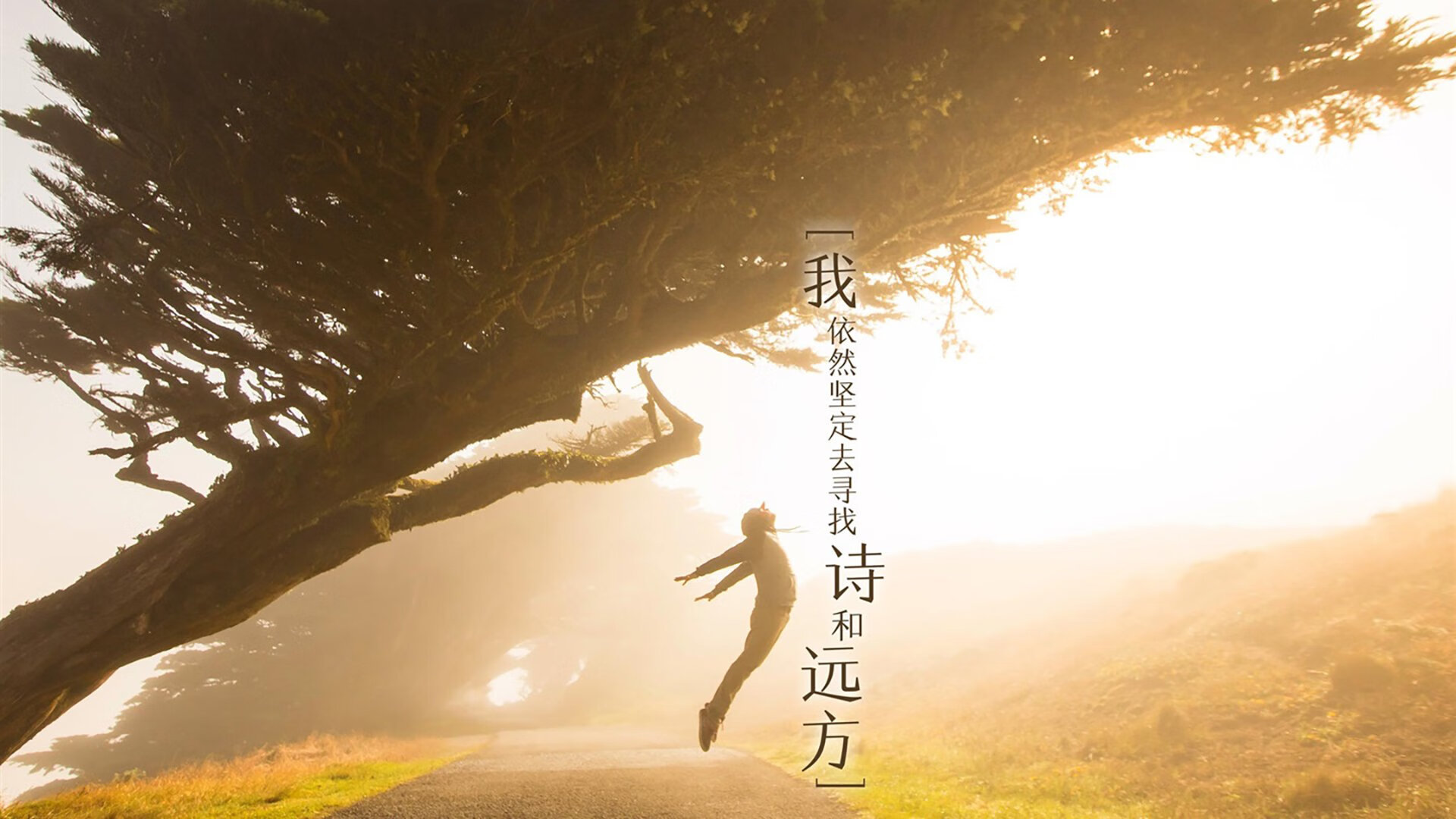 克罗地亚队在巴黎奥运会手球比赛中击败多支强队，克罗地亚国家队赞助