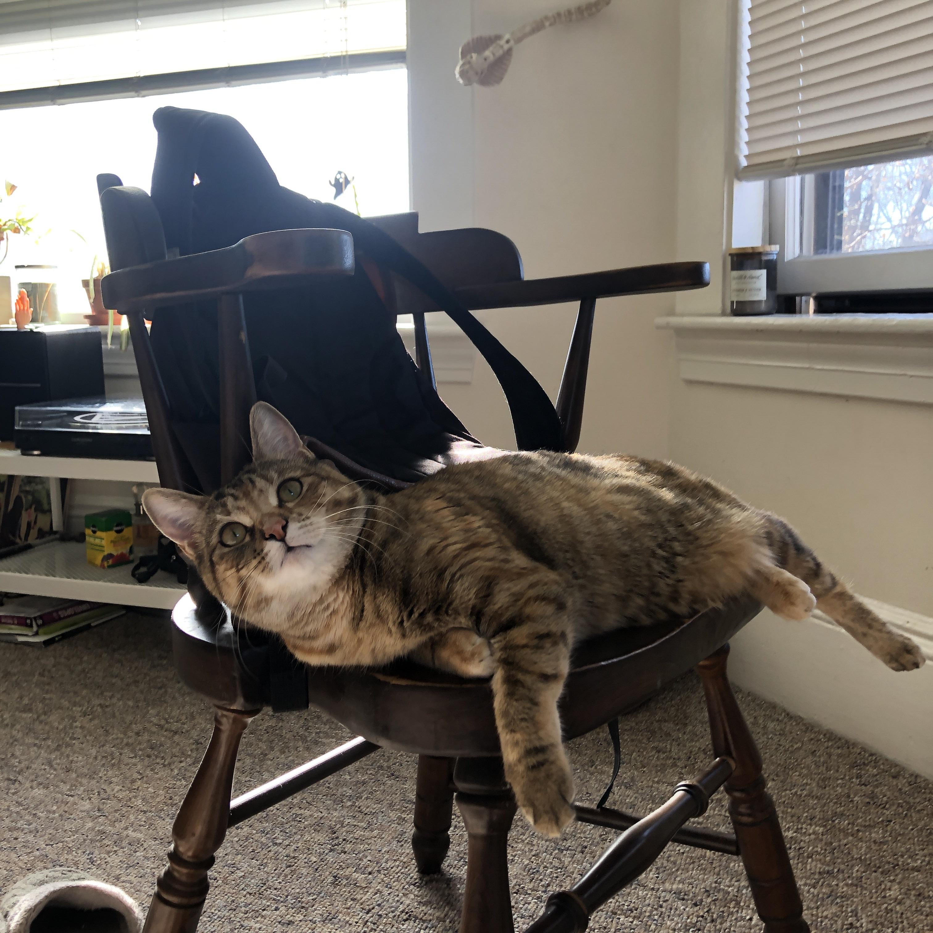 克罗地亚队在巴黎奥运会手球比赛中击败多支强队，克罗地亚国家队赞助