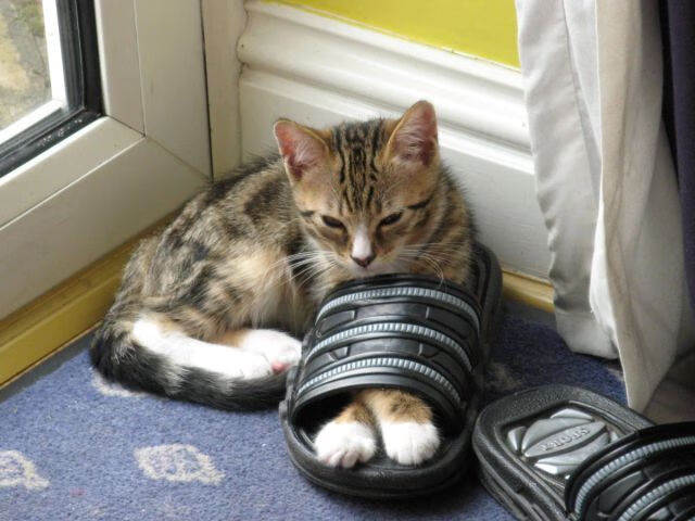 勇士客场力克老鹰，继续领跑西部，勇士和老鹰比赛直播