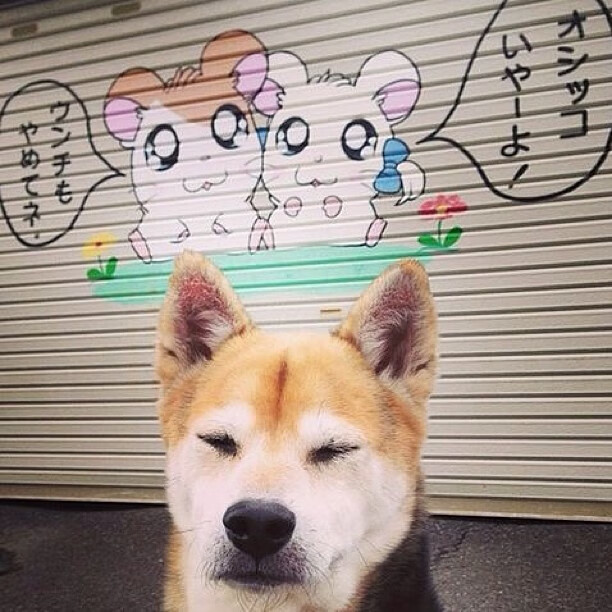 Kaiyun APP-山东鲁能后卫因累计黄牌停赛，防线薄弱，山东鲁能出场名单