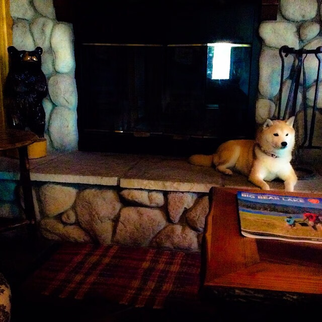 开云·体育官网-意大利媒体：伊朗足球，是冬奥最优雅的存在，伊朗足协