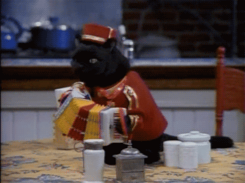 战队技术交流活动成功举办,战队分工