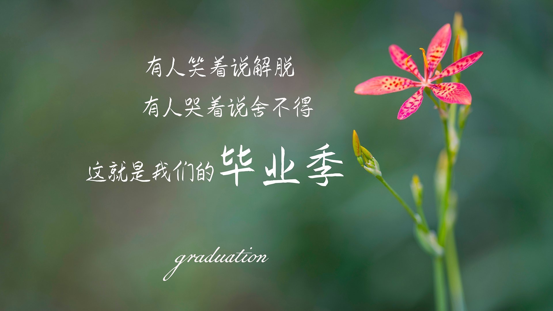 门兴格拉德巴赫新援首秀表现亮眼,门兴格拉德巴赫主力门将