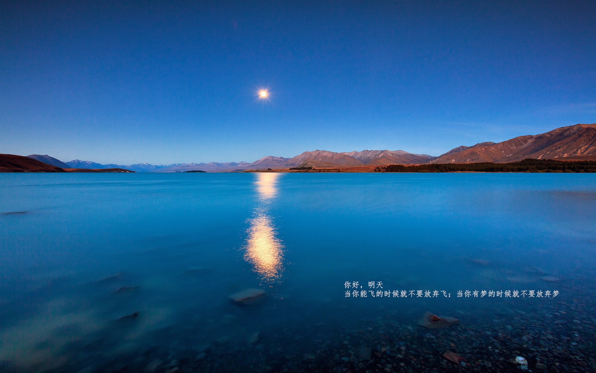 开云·Kaiyun网页版-印度体育代表团在亚运会上的表现引发国内对体育发展的关注。，印度 运动会