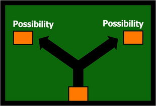 开云入口-体育赛事风险管理与应急策略研究分析，体育赛事风险管理的主要内容