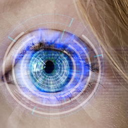 开云入口-训练负荷科学监测，训练负荷诊断