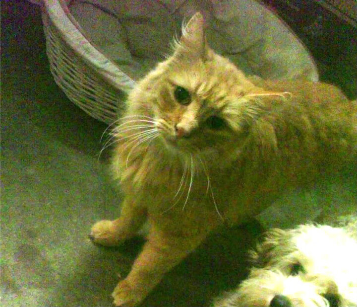 中超联赛中国青年队战胜 球员表现值得肯定,中超青年球员新闻