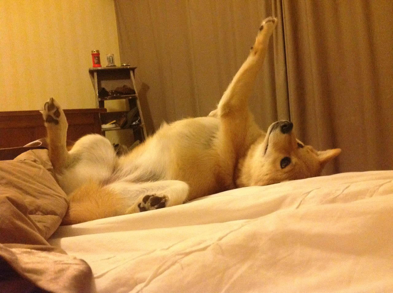 kaiyun中国官方网站-体育新闻中心推动智慧体育内容生态建设，体育新闻中心推动智慧体育内容生态建设工作