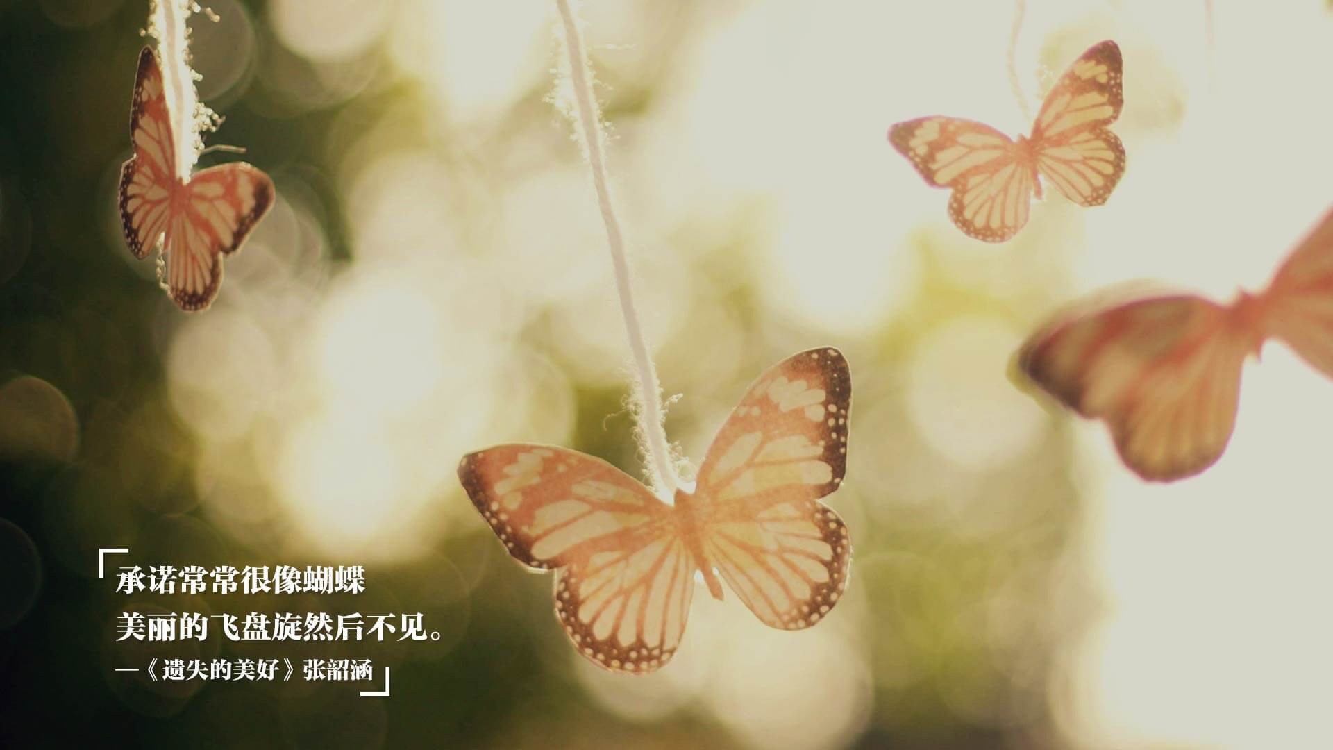 Kaiyun(中国)开云-埃及队未来：扩大青少年培训计划，培养更多人才，埃及队长