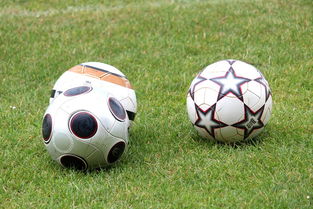 kaiyun开云·官方网站-基层足球发展资金紧张，基层足球发展资金紧张的原因