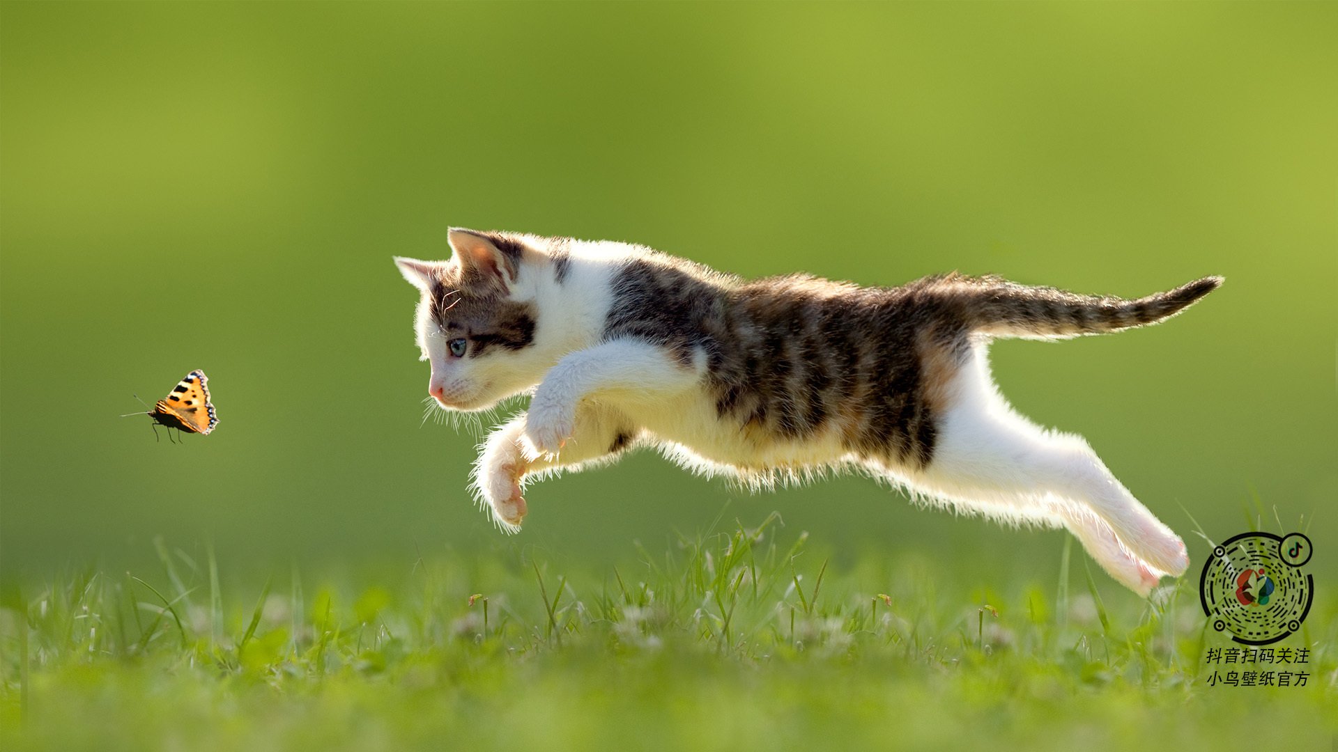 现代技术改变乒乓球发球与接球战术，研究乒乓球的接发球技术