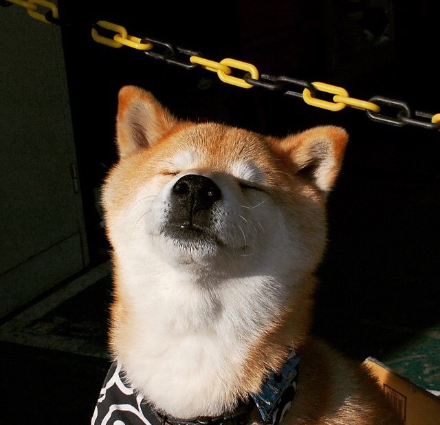 勇士新秀参加社区篮球活动赢得球迷喜爱，nba勇士新秀