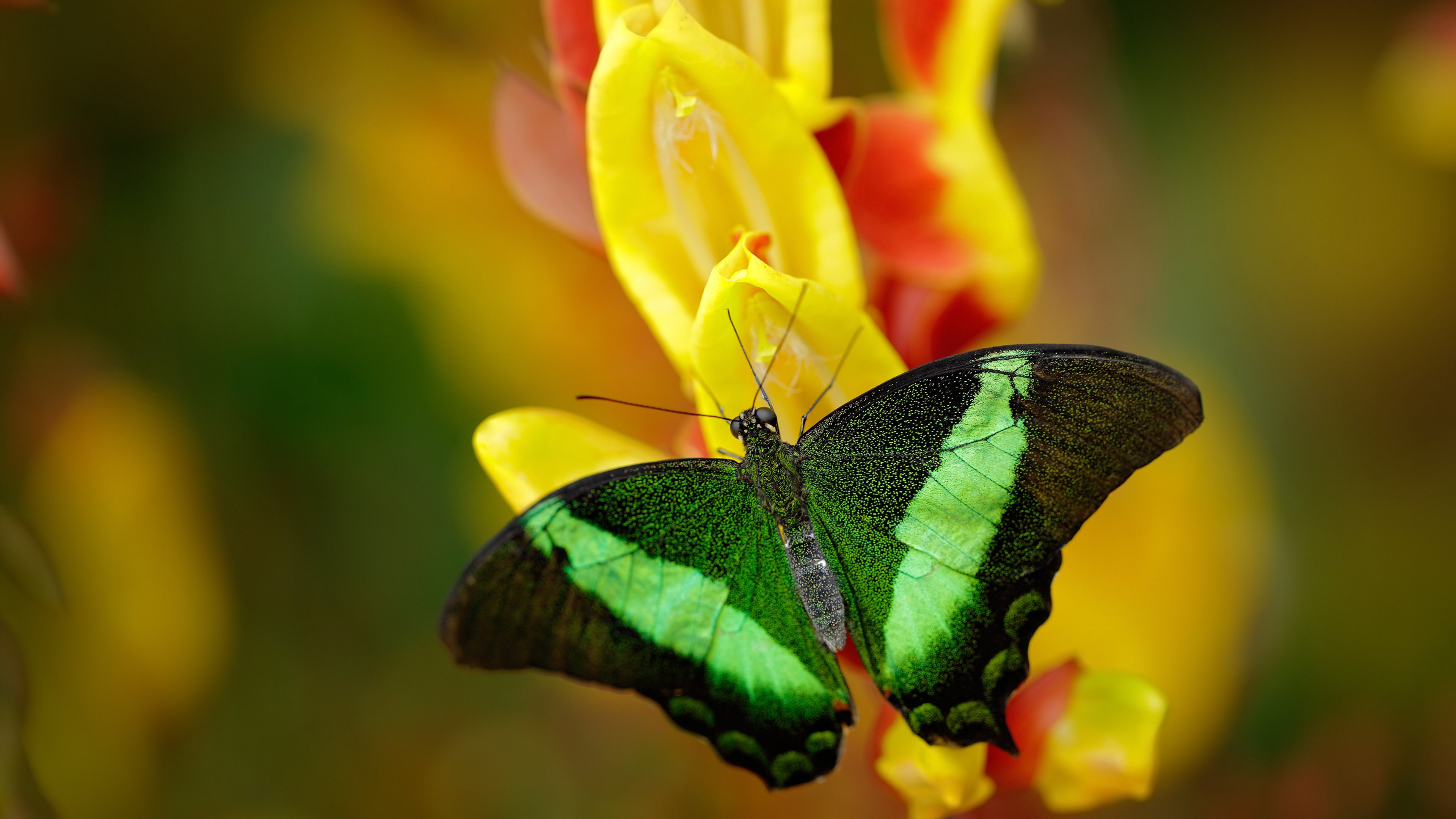 未来足球运动场将实现环保材料全覆盖,绿色发展理念深入人心,室外足球场的运营方案