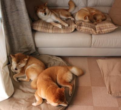 美洲杯明星闪耀：精彩突破，惊喜不断！，美洲杯大名单