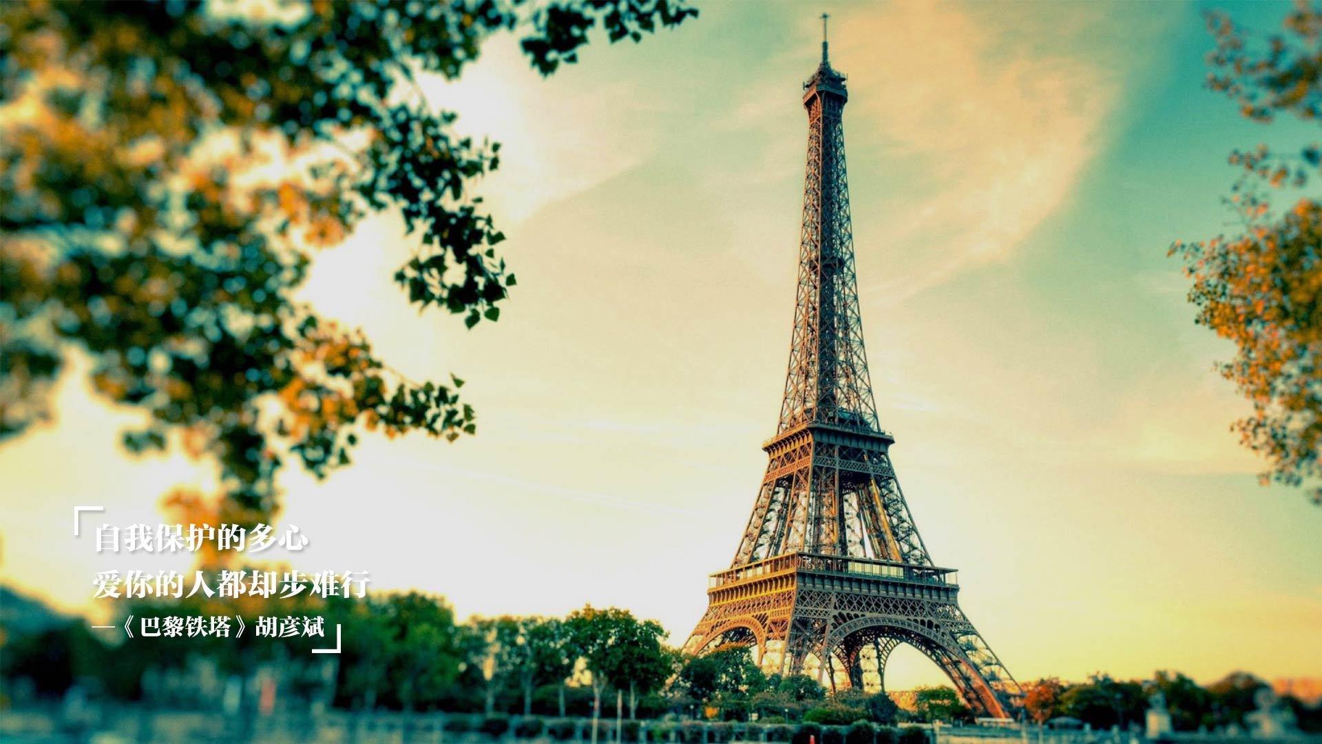 自由泳短程摩纳哥速度惊人，200自由泳视频