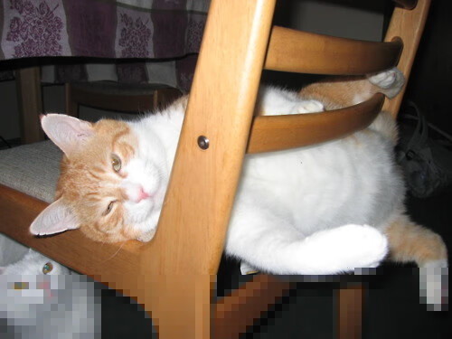 青少年赛事走向电视直播时代，青少年赛事活动有哪些